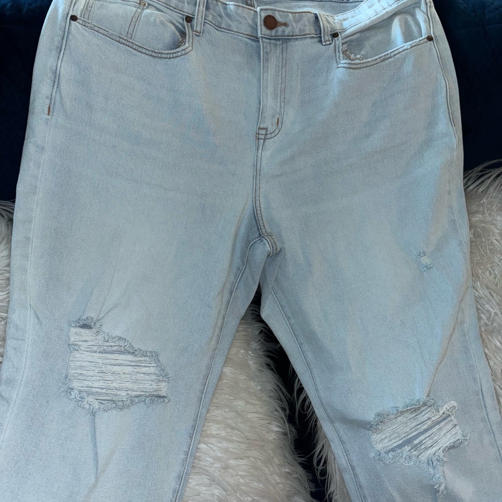 Lane Bryant capri jeans with holes in the knee area.